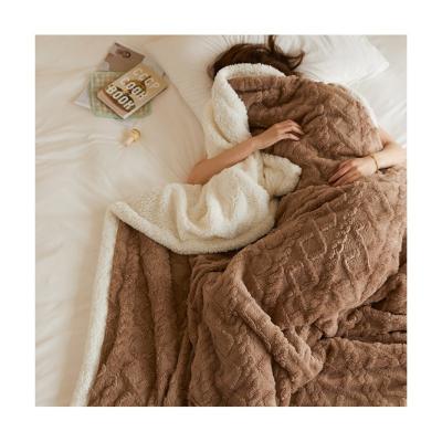 China Best Selling Amazon Anti-Static Wholesale Custom Polyester Throw Warm Microfiber Fleece Sherpa Blanket for sale