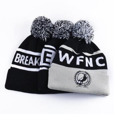 China COMMON Wholesale Promotional Unisex Winter Cap Custom Slapped Winter Beanie Hats for sale