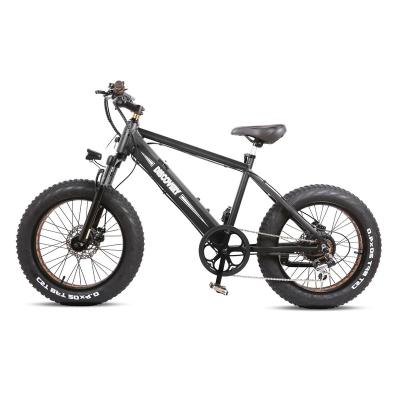 China Fat Tire 500W Aluminum Alloy Snow Bike Electric Hub Cheap Motor Brushless Full Suspension Electric Mountain Bike for sale