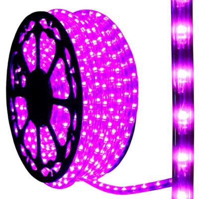 China Waterproof 100m Meter LED Glitter Rope Light Led LANDSCAPE Racing for sale