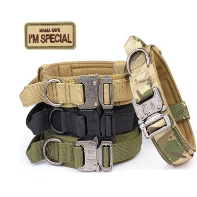 China Thoughtful Outdoor With Heavy Duty Nylon Adjustable Pet Collars Handle Dog Collar Tactical Army Dog Collar for sale