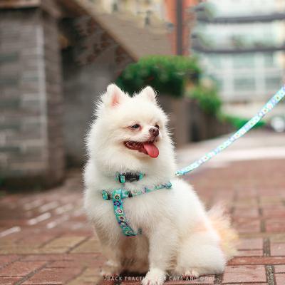 China Fashion Reflective Wholesale Custom Designer Adjustable Nylon Dog Collar Leash Harness Harness Set for sale