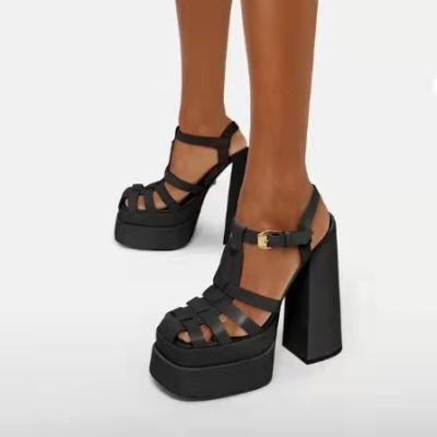 China Other HCN HXMY4007 Female Ankle Buckle Strap Platform Block High Heels Roman Sandals for sale