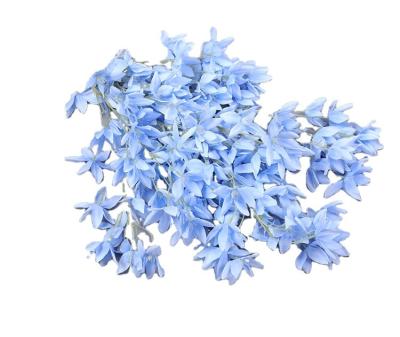 China Real Touch Feeling Simulation Encrypted Wisteria Flowers Wedding Ceiling Decoration Silk Flowers Home Artificial Flowers for sale