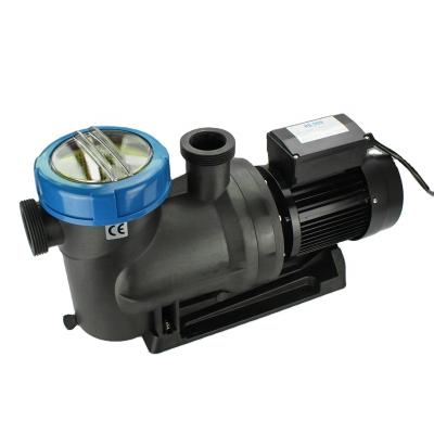 China Developing World Water Solutions 2021 High Quality Swimming Pool Pump Plastic Horizontal Water Pump Pool Filter Pump for sale