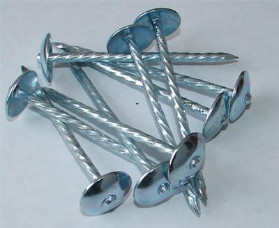 China Galvanized Roofing nails for sale