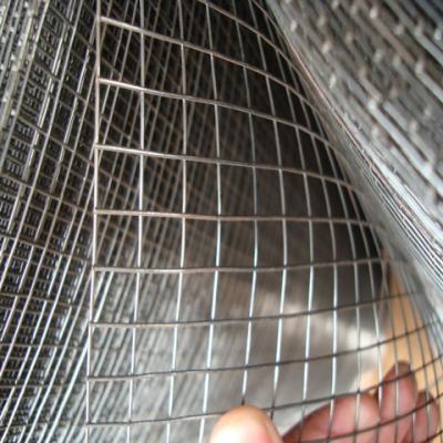 China Galvanized Welded Wire Mesh for sale