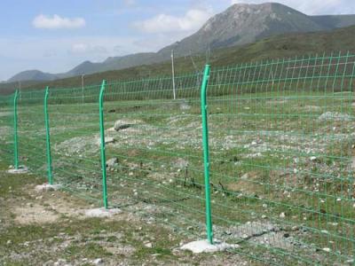 China Wire Mesh Fence factory for sale