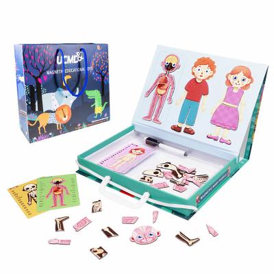 China Self Magnetic Kids Learning Our Body Magnetic Toys Puzzle for sale