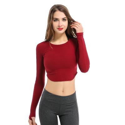 China MOQ 1 drop shipping women workout tight long sleeve anti-pilling gym yoga crop top for sale