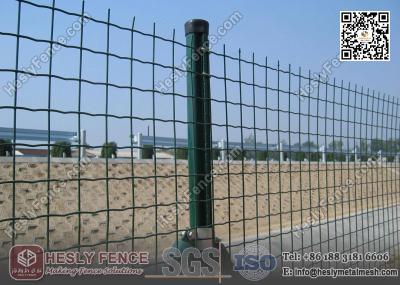 China Welded Roll Mesh Fencing | 50X50mm square hole | RAL6005 Green PVC coated for sale