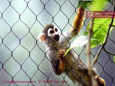 China 316L Stainless Steel Wire Cable Animal Cage for Zoo Enclosure | China Zoo Mesh Factory for sale