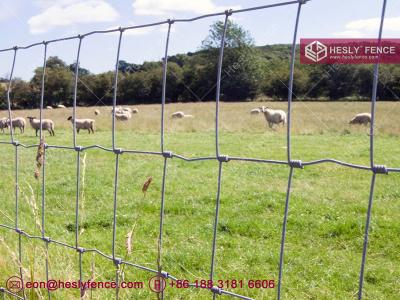 China 1.2m high 2.5mm wire | Woven Cattle Fence | Field Fencing | Grassland Fence | China Supplier for sale