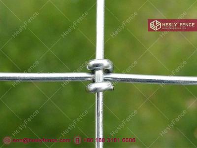 China S Knot Wire Mesh Fence, Horse Mesh Fence, galvanized, 2X50m, HeslyFence Chinese Field Mesh Fence Supplier for sale