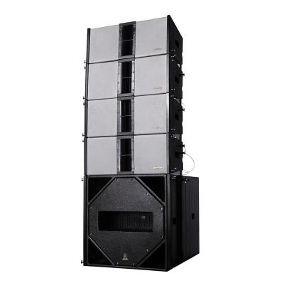 China boutum line array for sale dual 8