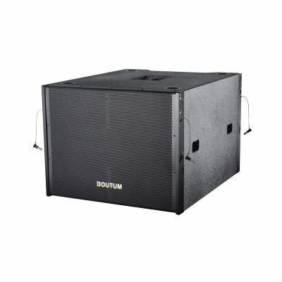 China No High Quality Subwoofer 21