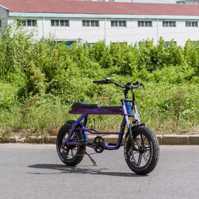 China Electric bike 750w 20 inch fat tire electric bike aluminum alloy electric bike tire made in China for sale