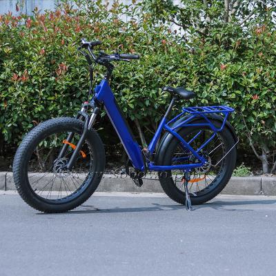 China China 750W Aluminum Alloy Step By Electric Bicycle Women E Bikes Fat Tire E Bike for sale