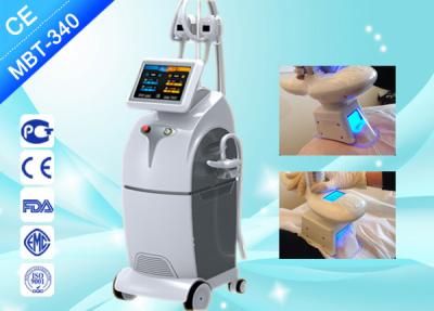 China Russische Cryolipolysis-Machine/Machine van het de Vorstvermageringsdieet van Cryolipolysis de Vette Te koop