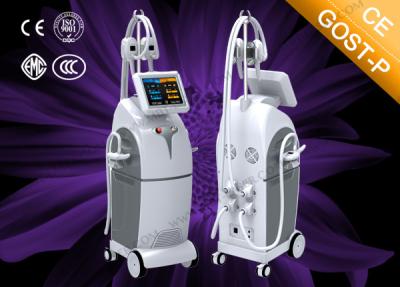 China Freezing fat to lose weight Cryolipolysis Machine beauty salon equipment with CE for sale