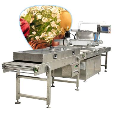 China Top Quality High Efficiency Chocolate Production Line Chocolate Continuous Molding Line Chocolate Tempering Line for sale