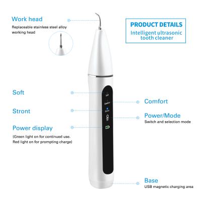 China Hot sale stainless steel+ABS alloy vibration tooth cleaner portable ultrasonic electric dental calculus remover dental scaler in low price for sale