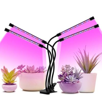 China Seed Starting LED To Grow Full Spectrum Fitolamp Phyto Light USB Lamp With Control Phytolamp For Home Plants Seedling Flower Phytotape for sale