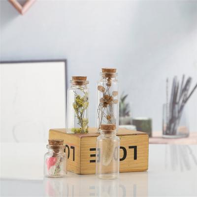 China Clear Small Mini Test Tube Glass Bottle Vial Penicillin Glass Jar Wishing Beverage Borosilicate Drifting Essential Oil Bottle With Cork for sale