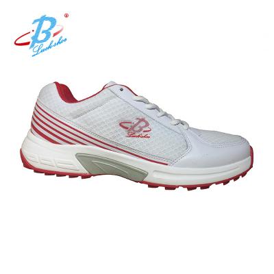 China Rubber Top Best Quality Cricket Shoes Hot Sale In Sri Lanka Market for sale