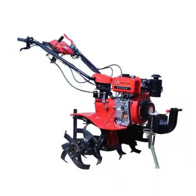 China Mini Farms Farms Agriculture Custom Tiller Diesel Walking Tractor Tiller Farm Tractor for sale