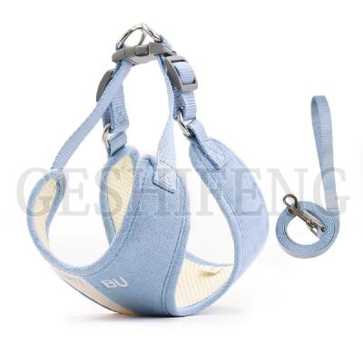 China 2022 viable new fashionable dog leash and harness for training for sale