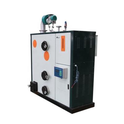 China Small Horizontal Fully Automatic Biomass Steam Boiler Steam Generator For Pharmaceutical Industry for sale