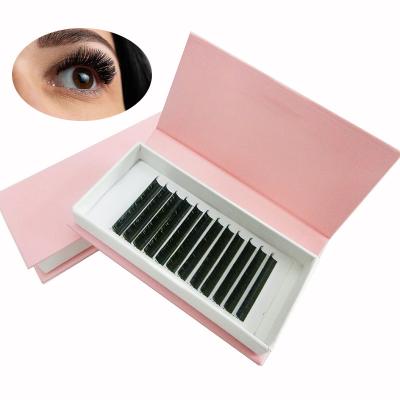 China Pro Fans Made Of Soft 2022 Natural Mink Individual Premade Fans Low Moisture Eyelash Extension Glue for sale