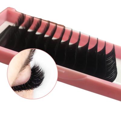 China pbt matte natural soft eyelash extension bulk eyelash extension china seller premade Korean fan 2022 for sale