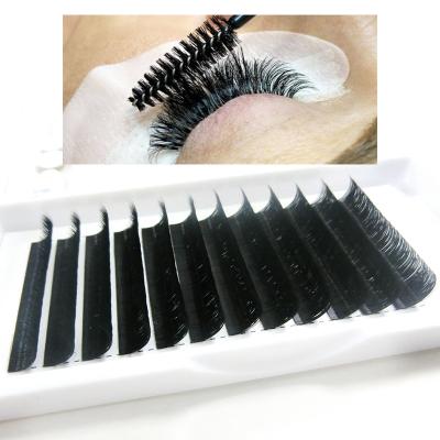 China Natural Soft Black Matte Volume Wick Extensions Trays DF Custom Wrapping Adhesive Low Moisture for sale