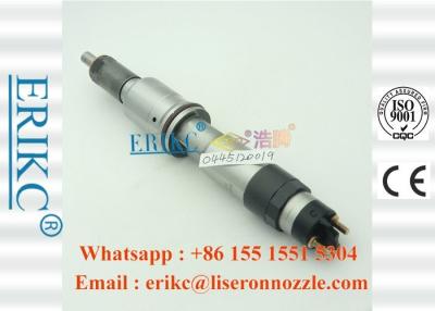 China ERIKC 0445120019 Bosch-Vrachtwageninjectie 0 445 120 019 Bico Brandstofinjectorassemblage 0445 120 019 voor RENAULT Te koop