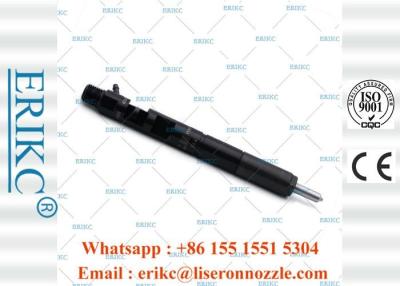 China Dieselinjektor EJBR05102D Delphi zerteilt die 28232251 Kraftstoffanlage-Einspritzung EJB R05102D zu verkaufen