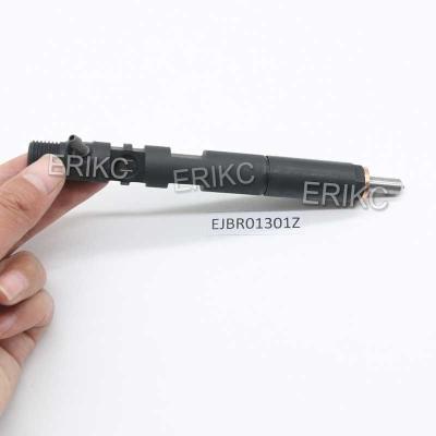 China ERIKC EJBR0 1301Z Common Rail Injectors EJB R01301Z Heavy Truck Injector EJBR01301Z For Delphi for sale