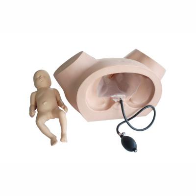 China Medical Realistic Manikins Gynecology Childbirth Training Simulator Dystocia Female Obstetrics Model For Abnormal Labor for sale