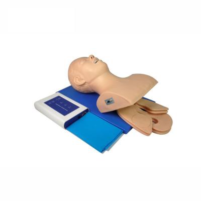 China Intubation Training Human Airway Trachea Intubation Manikin , Adult Endotracheal Intubation Training Model for sale