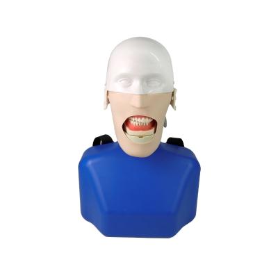 China Hospital clinic university dental surgery practice model, dental manikin with torso, dental simulation tooth chair fixed for sale