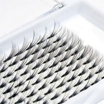 China Private Label Softer Wholesale 0.03-0.07 Premade Fans Eyelash Extensions 3D-8D Premade Soft Volume Lashes for sale