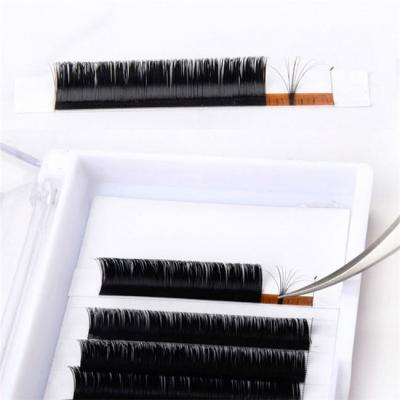 China Lash Extension Supplies Easy Fan Softer Eyelash Extensions Custom Private Label Eyelash Extension for sale