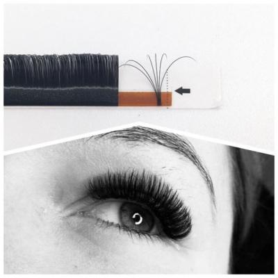 China 2019 Sweeter Hot Selling 1 Second 4D 5D 6D~10D Individual Flower Eyelash Extension Easy To Fan Lash for sale