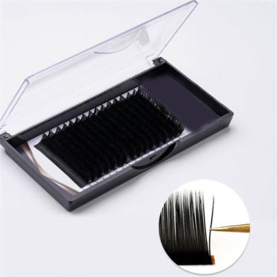 China Hot Volume Softer Matt Black Volume Eyelashes Extension Pbt Lash Extensions Mega Sale Classic Simple Flat for sale