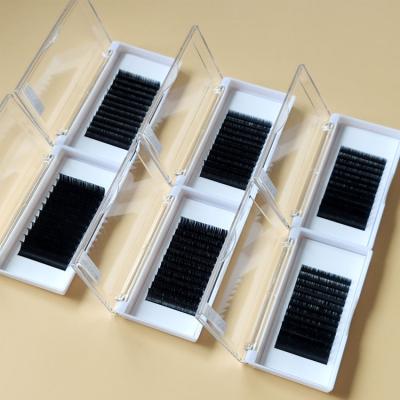 China Softer Korea Custom High Quality Private Label Soft 0.03 0.05 0.07 Thickness Individual Classic Easy Fanning Eyelash Extensions for sale