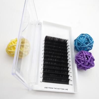 China Softer Hot Selling Blooming Eyelash Extensions Premade Eyelash Extension Fan Blossoming Eyelash Extensions for sale