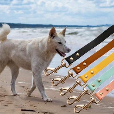 China Sustainable Water Proof Silicone Adjustable PVC Dog Lead Running Leash for sale