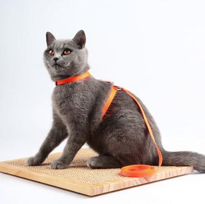 China Factory Direct Sales Adjustable Harness Nylon Safety Cat Harness for sale