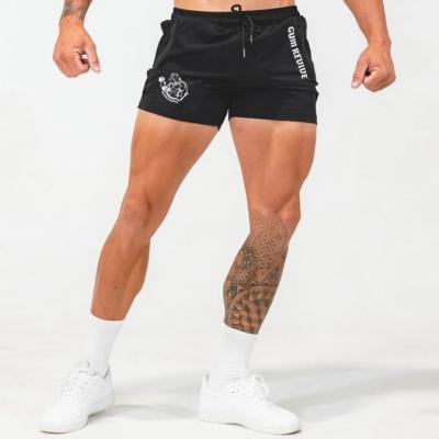 China Wholesale Anti Wrinkle Men's Gym Anti Wrinkle Shorts Summer Quick Dry Breathable Plus Size Fitness Running Training Shorts 2022 for sale